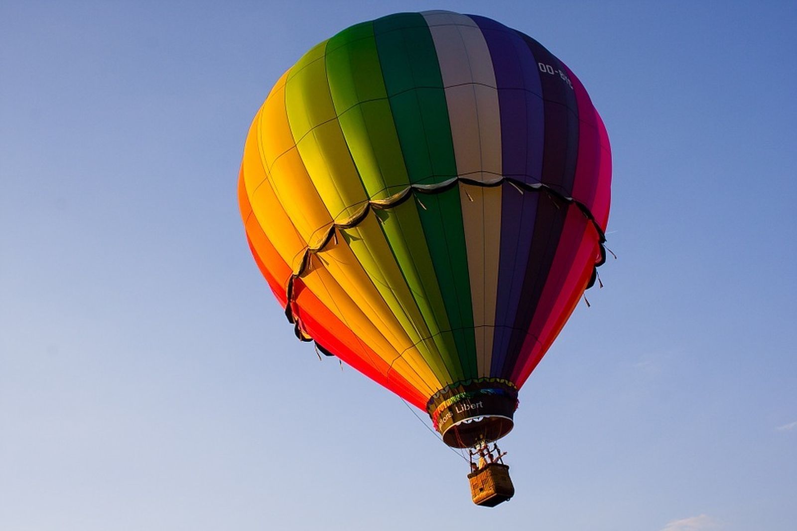 Profesiones: Piloto de globo aerostáticos