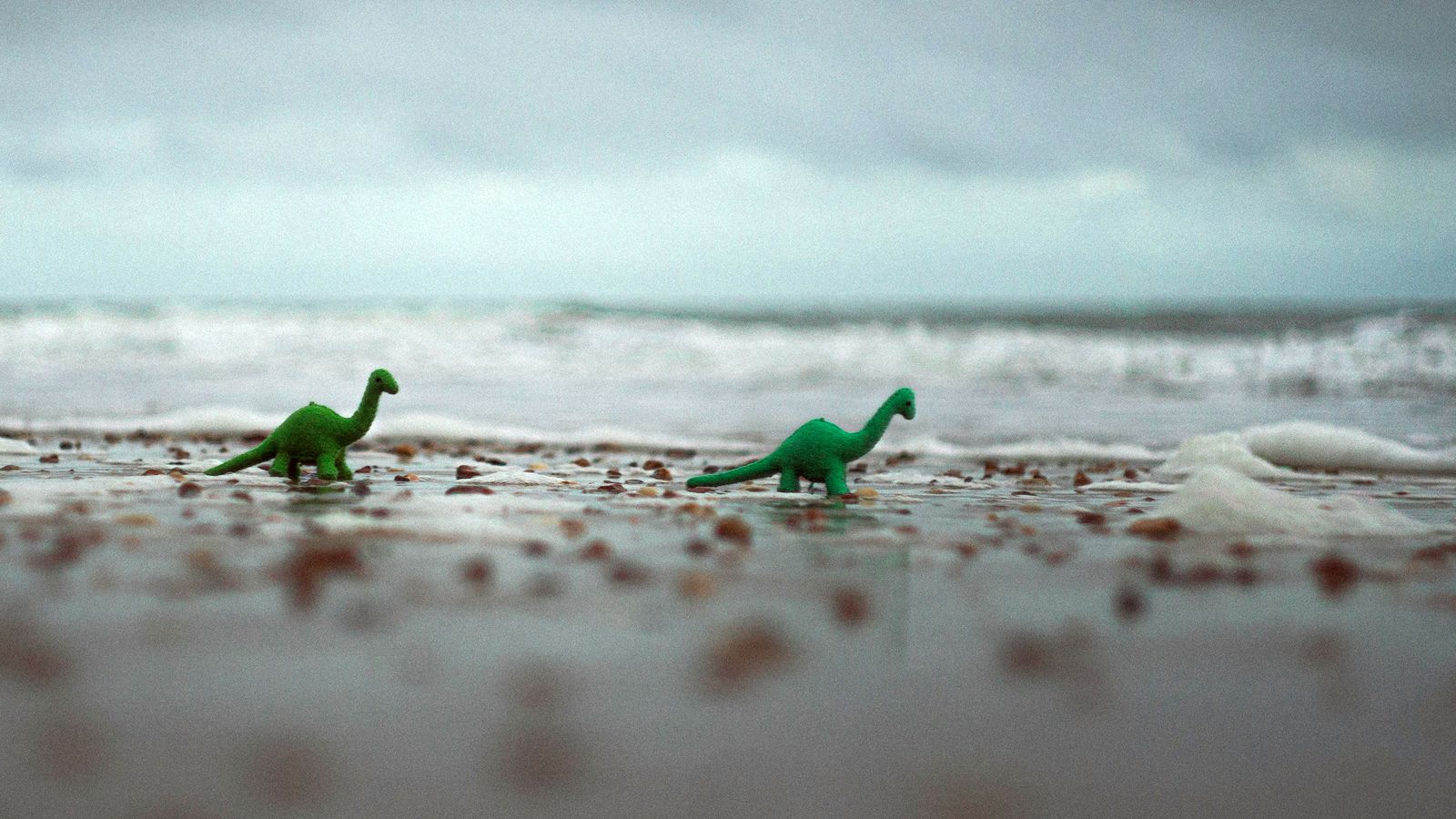 Una niña descubre los restos de un nuevo reptil gigante mientras buscaban fósiles en una playa de Inglaterra