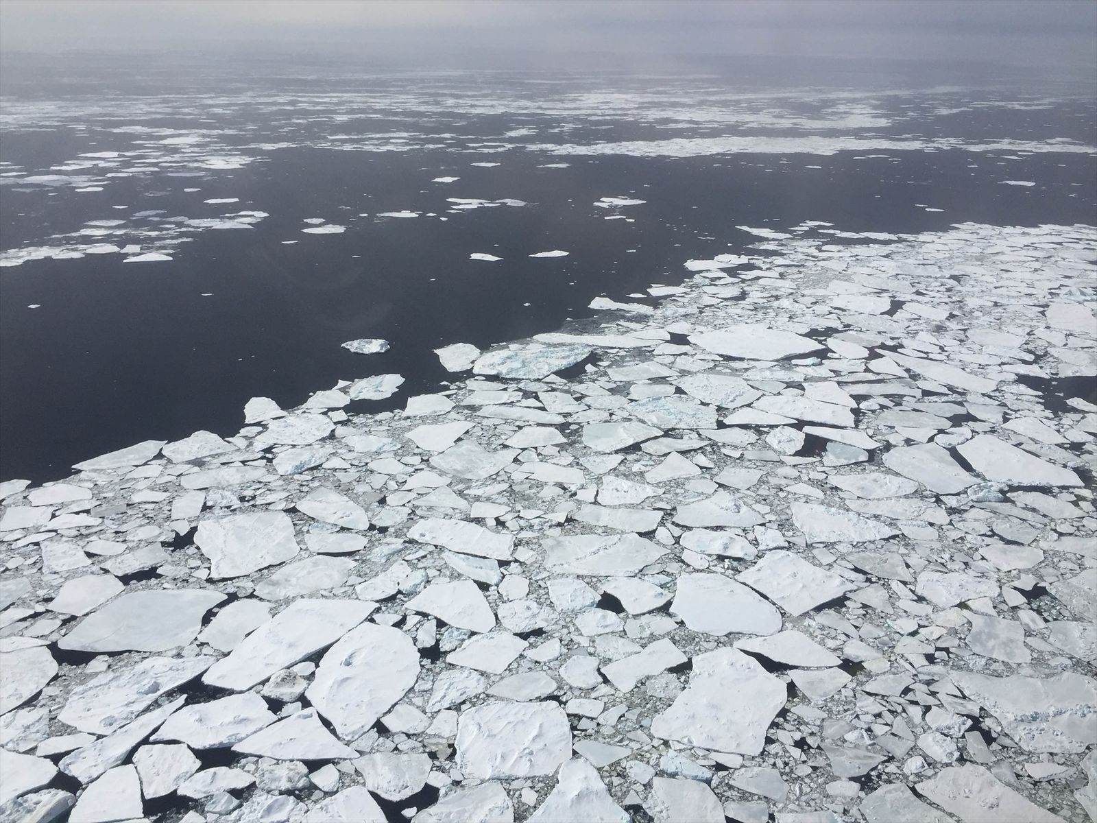 Colección de pequeños témpanos de hielo rotos en la Antártida