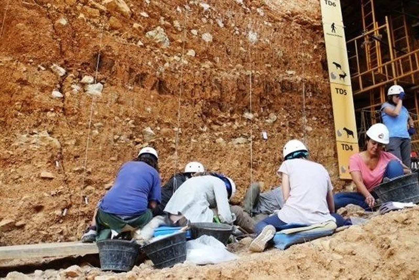 Finaliza la campaña de excavación en Atapuerca con importantes hallazgos prehistóricos