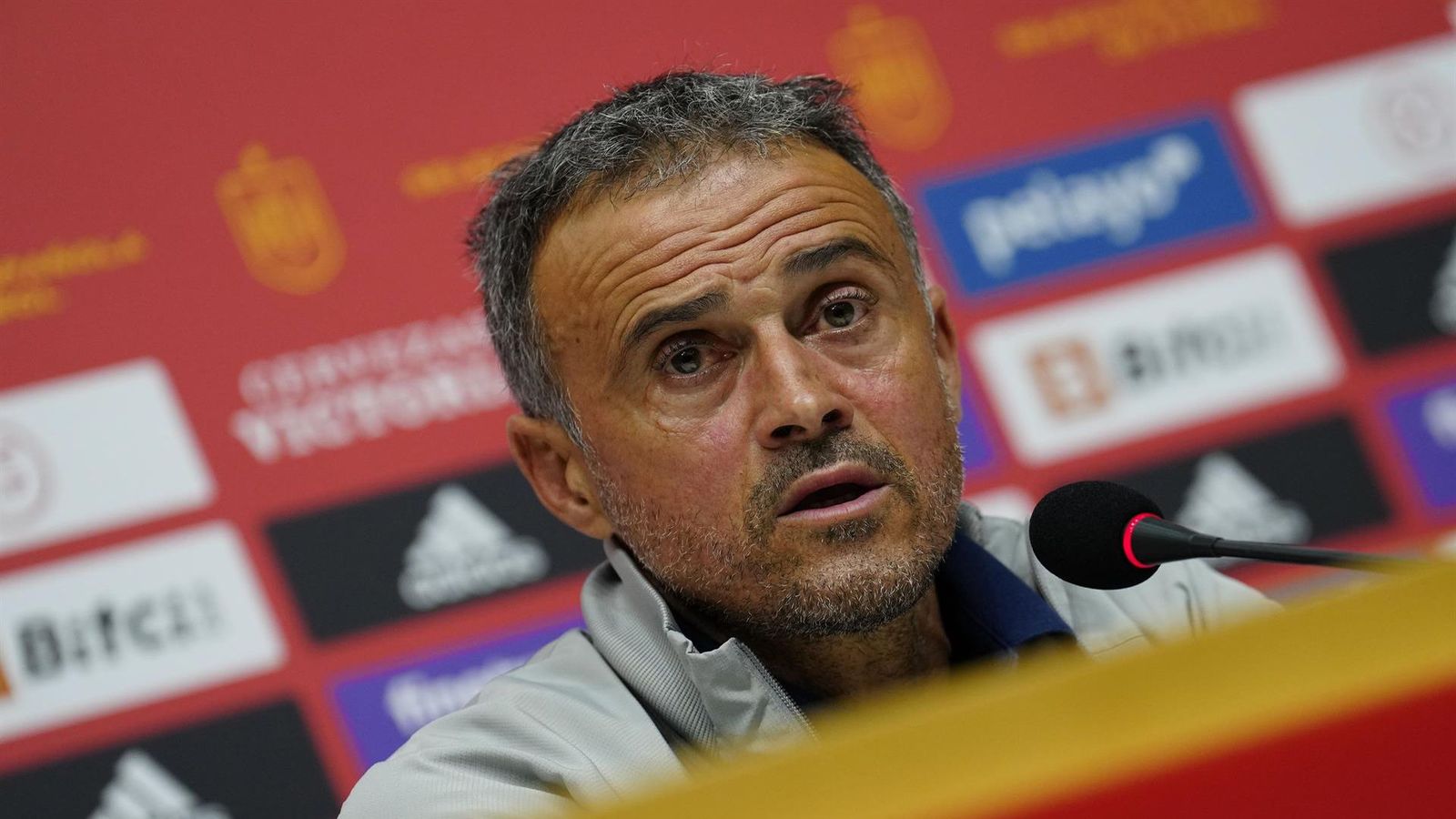 Luis Enrique sobre Islandia: "Yo no he escogido los rivales"