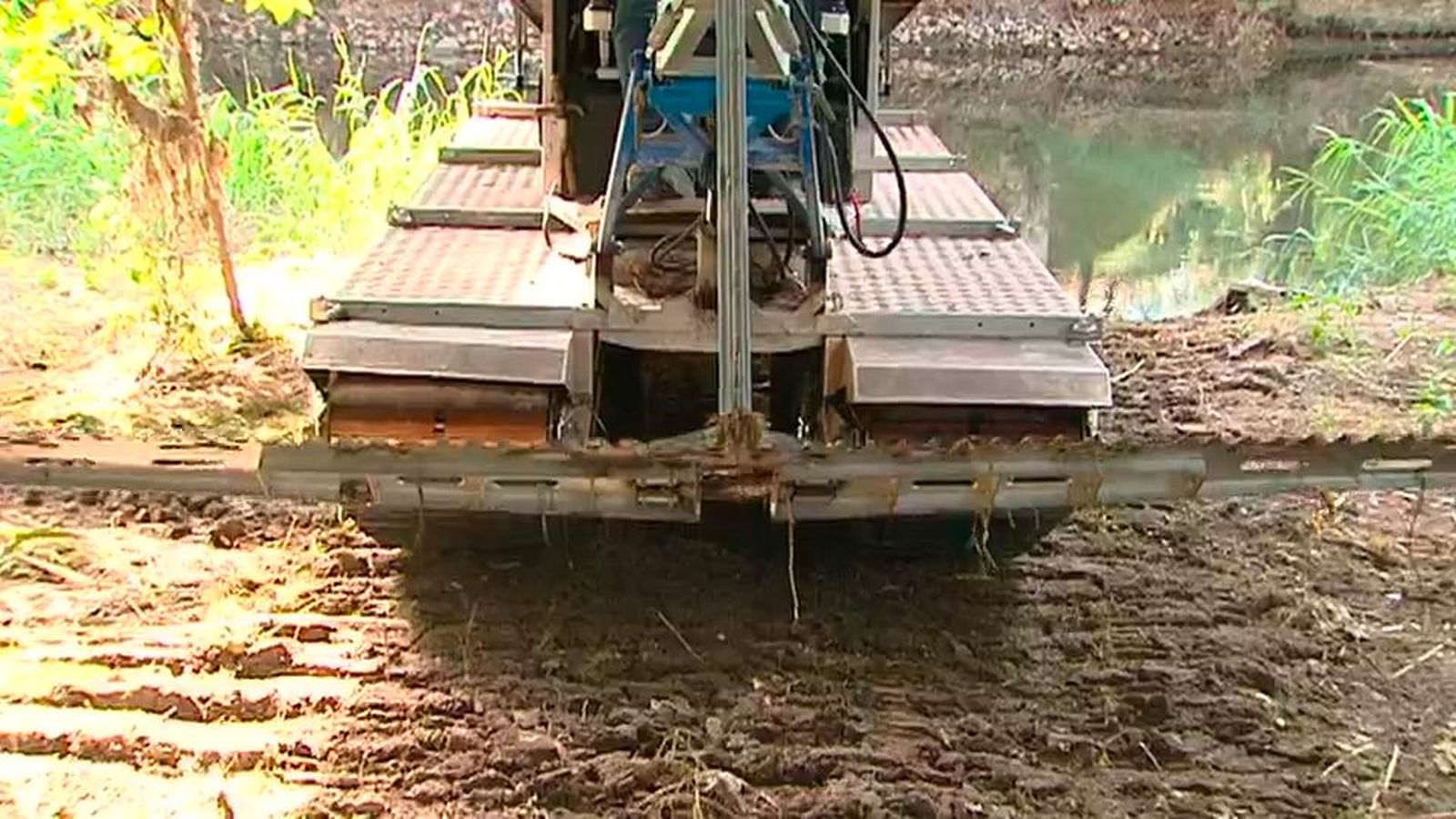 Torrejón combate la mosca negra con una barca anfibia en el río Henares