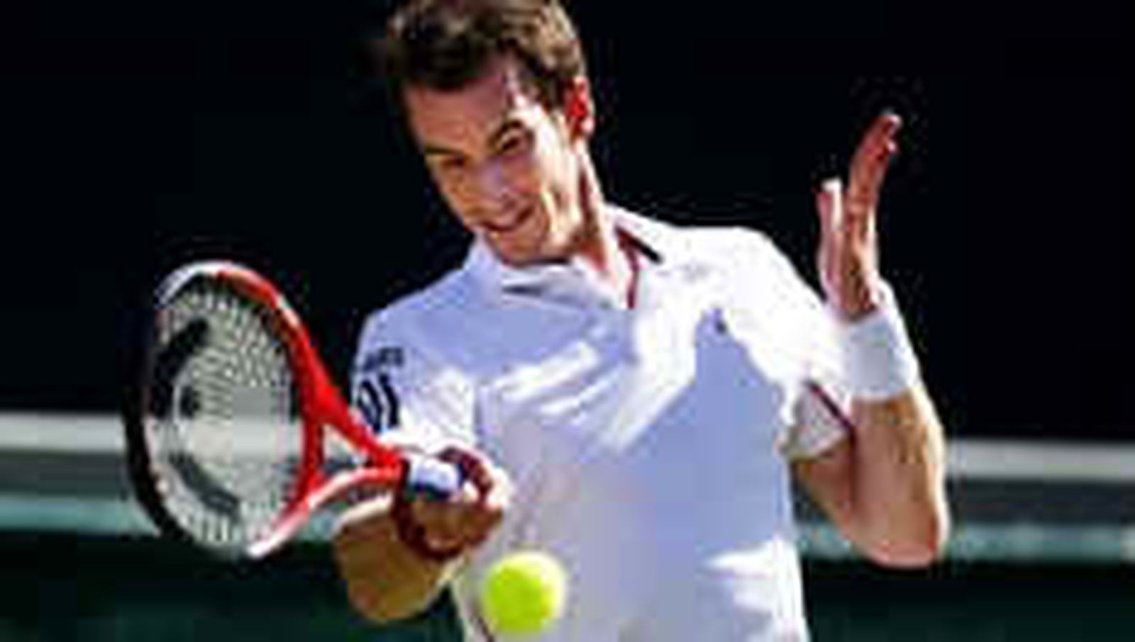 Murray y Tsonga jugarán la final de Queens