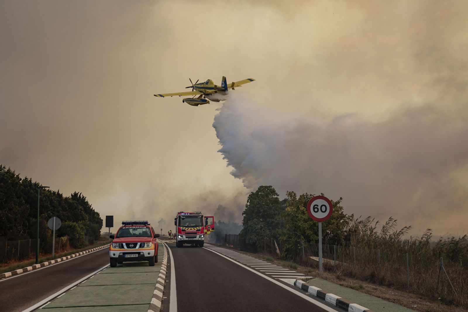 Las evacuaciones por el incendio forestal de El Saler, Valencia, se mantienen y sigue cortada la carretera CV-500