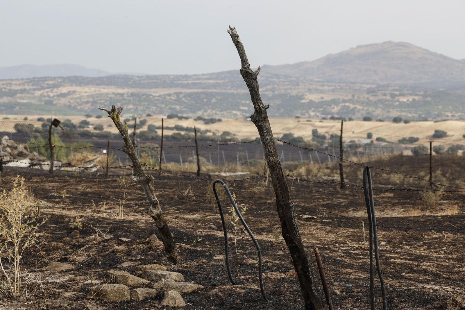 Impacto del incendio de Tres Cantos