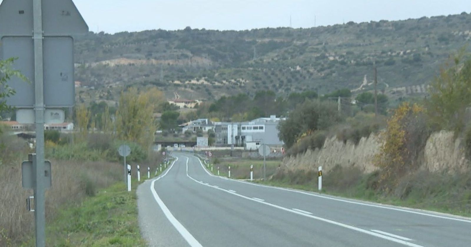 Accidentes y destrozos de cosechas, preocupación en Carabaña por la proliferación de jabalíes