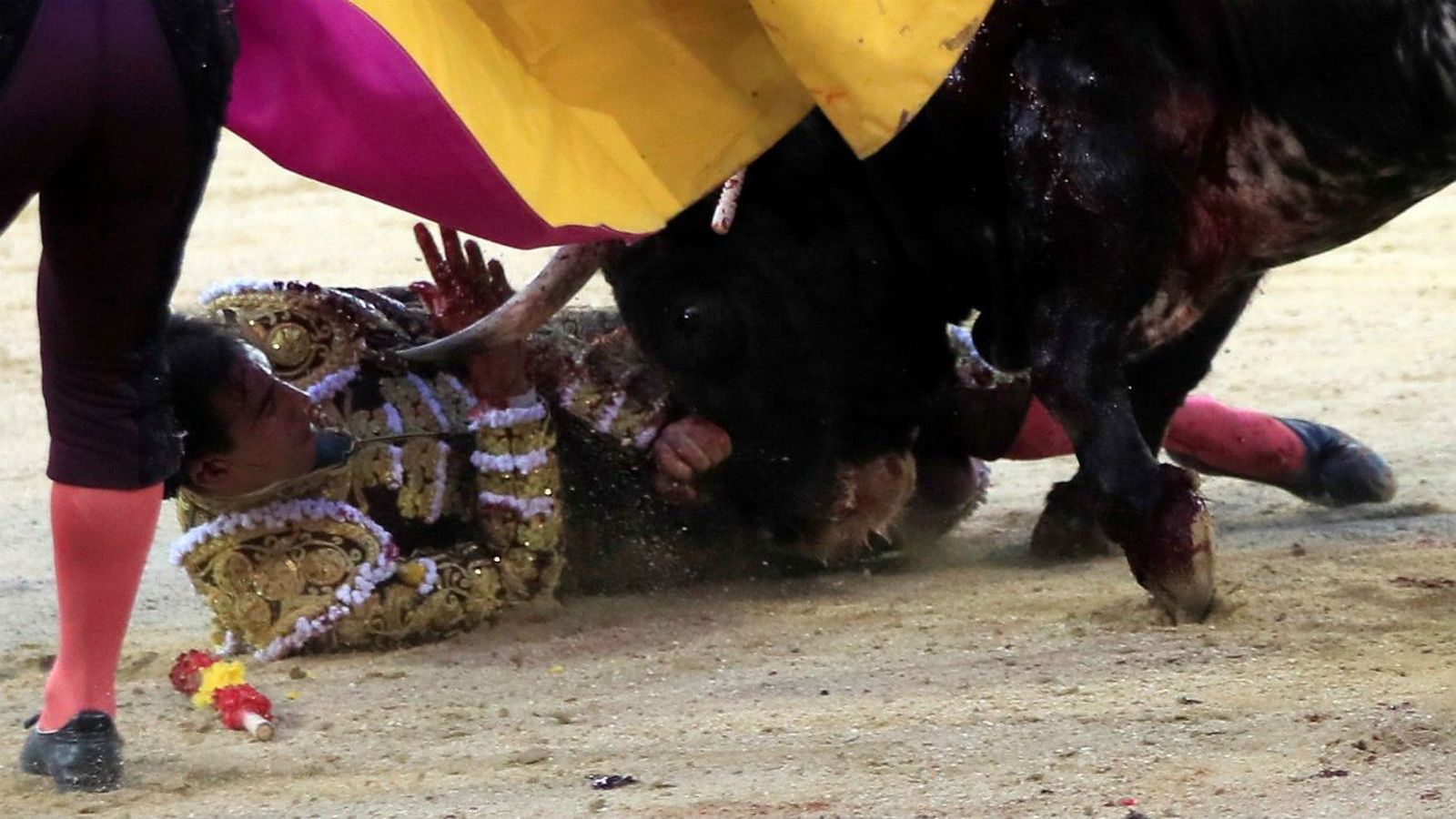 Fortes, cogido aparatosamente al entrar al quinto toro en Las Ventas