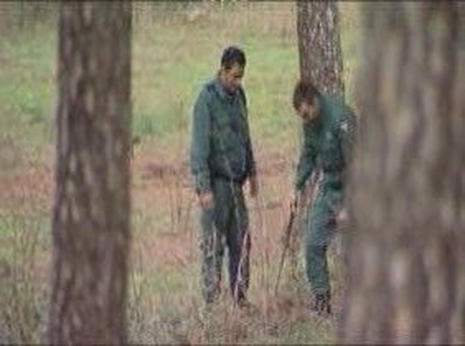 Boadilla_201118V0.wmv