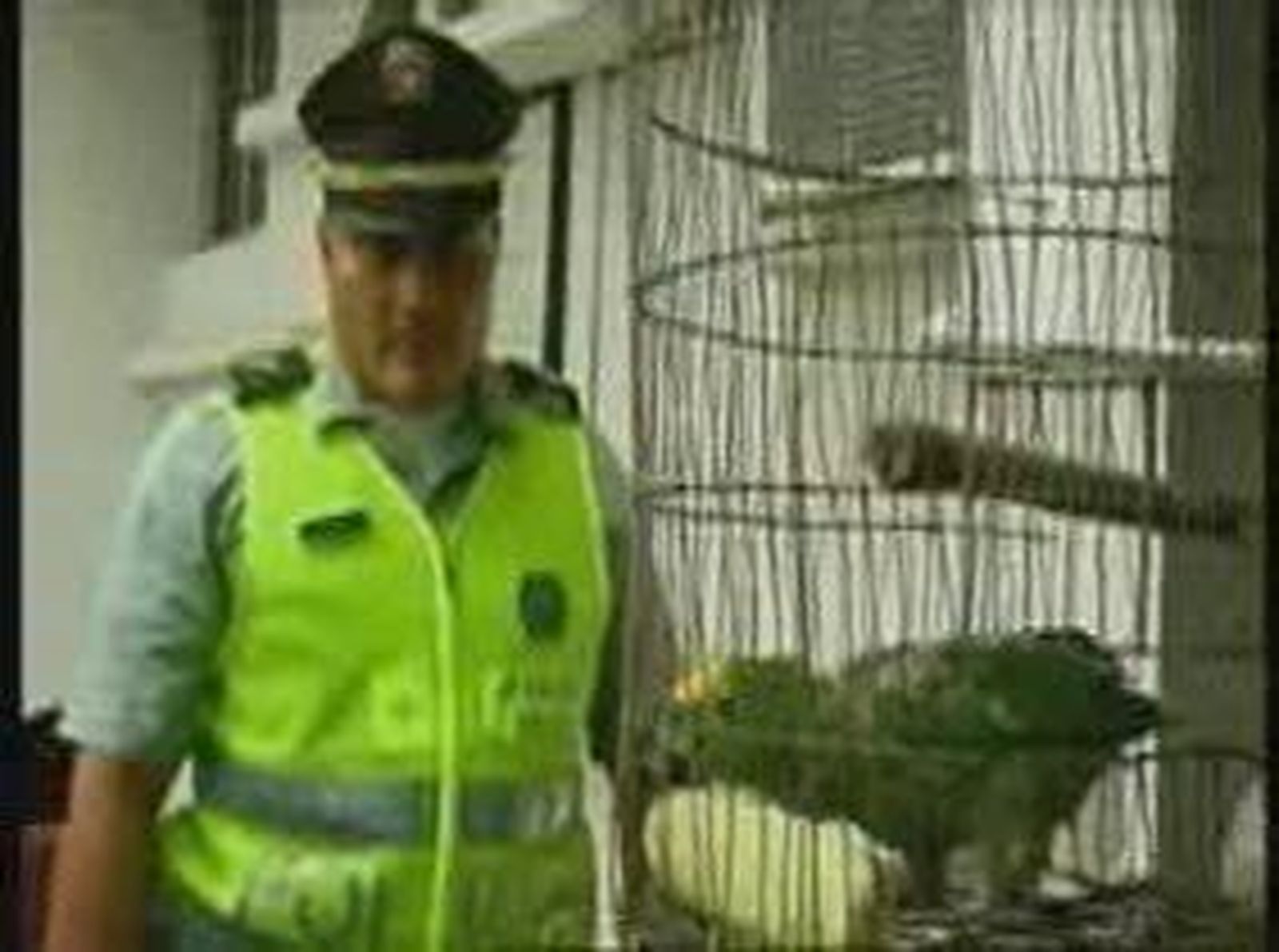 Un loro para avisar a los narcotraficantes