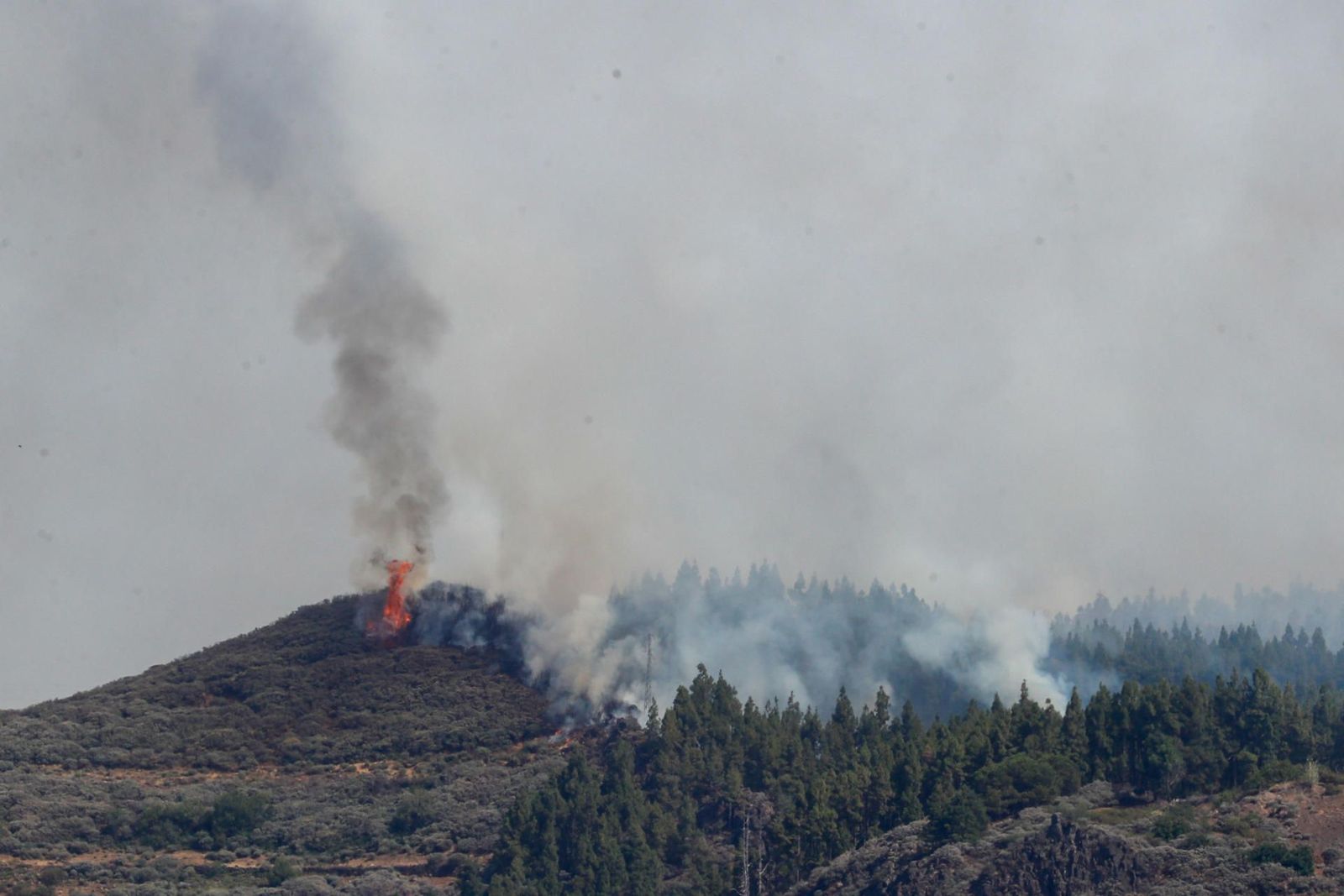 Varias localidades desalojadas por un incendio en Gran Canaria