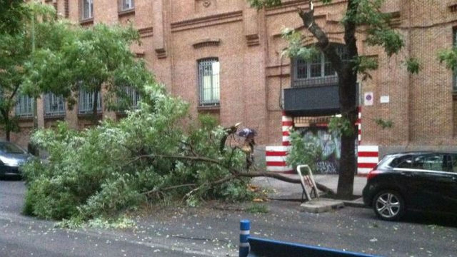 Una mujer herida y numerosos árboles y ramas caídos en Madrid por la tormenta