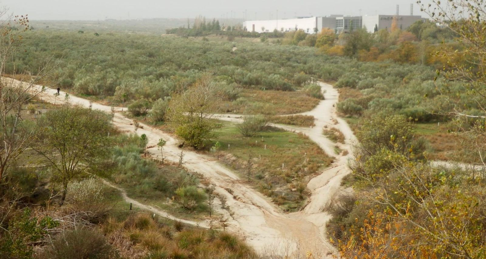 La Cañada Real se asienta sobre 14 kilómetros de extensión, divididos en seis sectores, que atraviesa los municipios de Madrid, Coslada y Rivas-Vaciamadrid