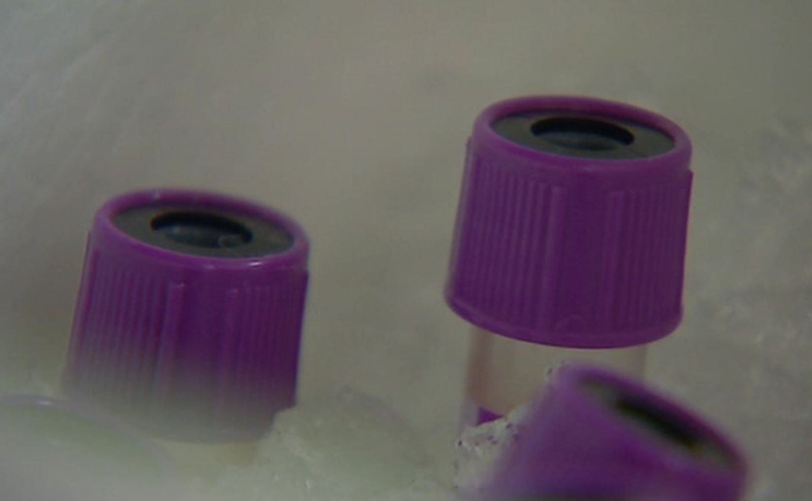 analisis_sangre_investigacion
