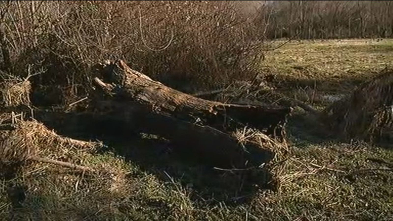 Las secuelas de las inundaciones 24 horas después en Alameda del Valle
