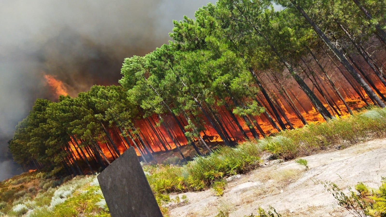 Incendio de Ávila