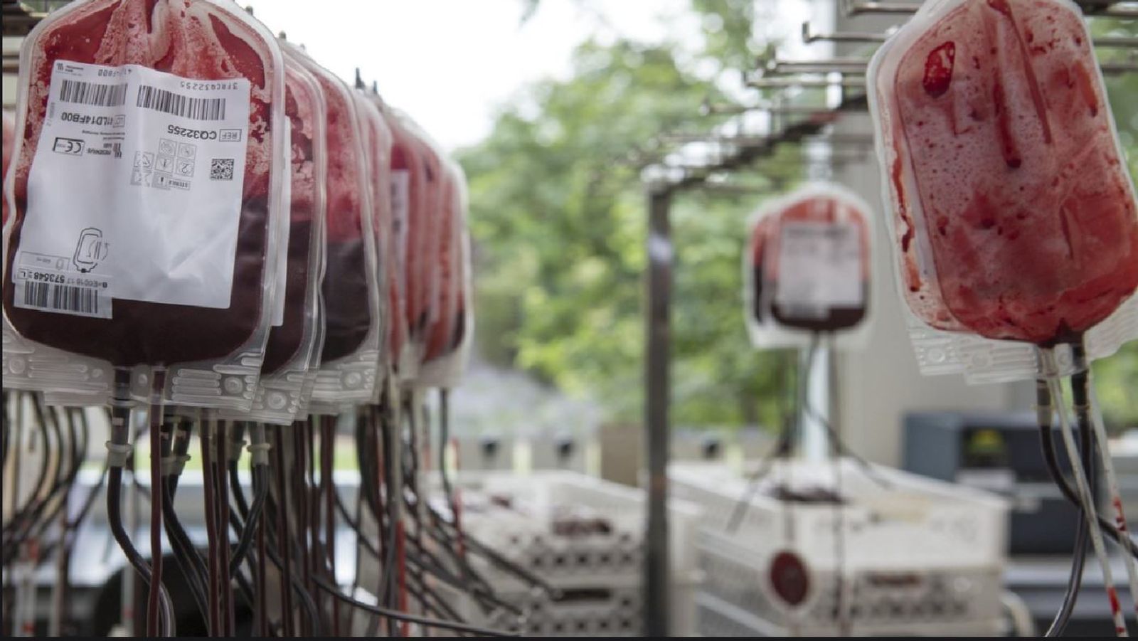 Donaciones de sangre