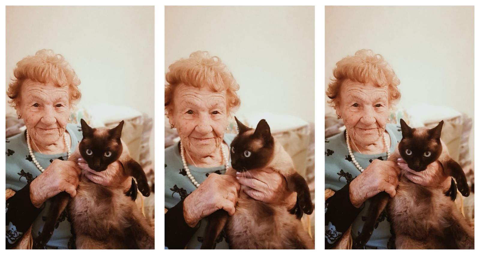 Chispi, el gato de María