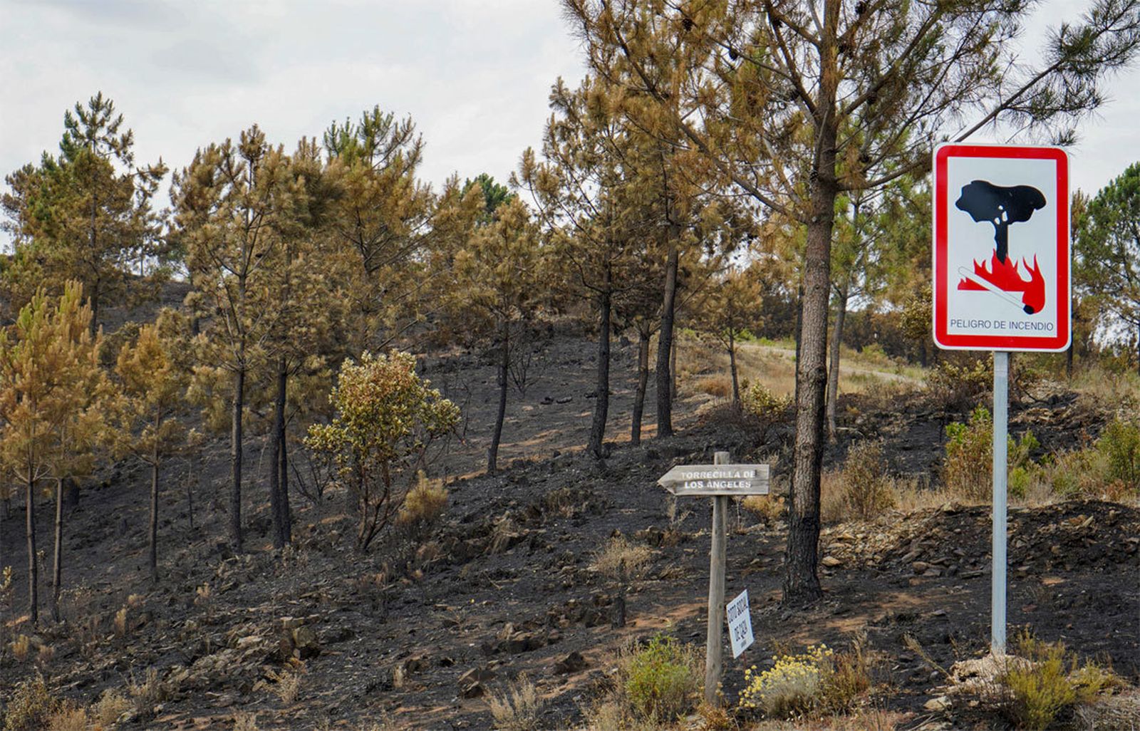 Los efectos un incendio en la comarca cacereña de Las Hurdes