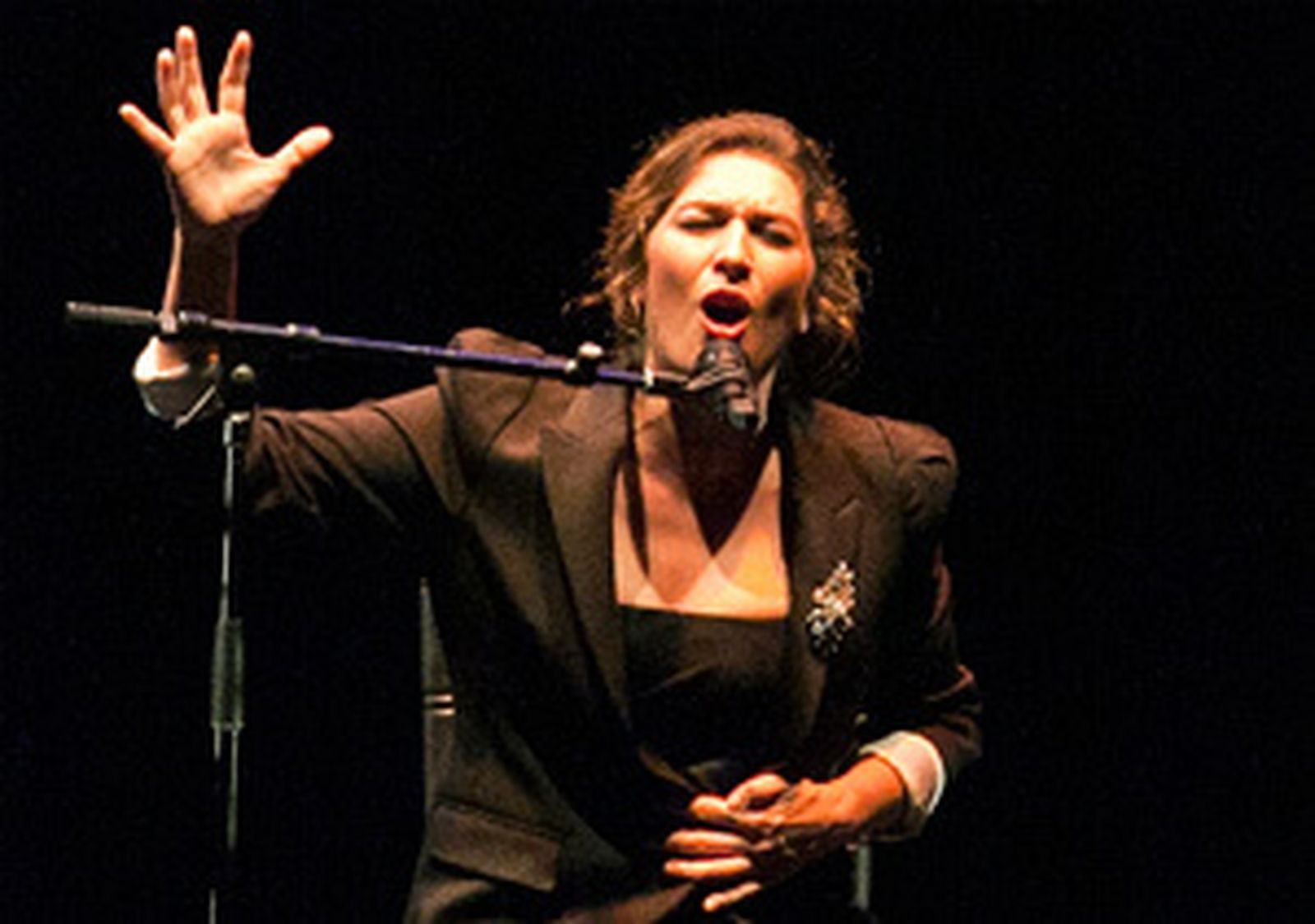 Estrella Morente inaugura la temporada cultural de Colmenar Viejo