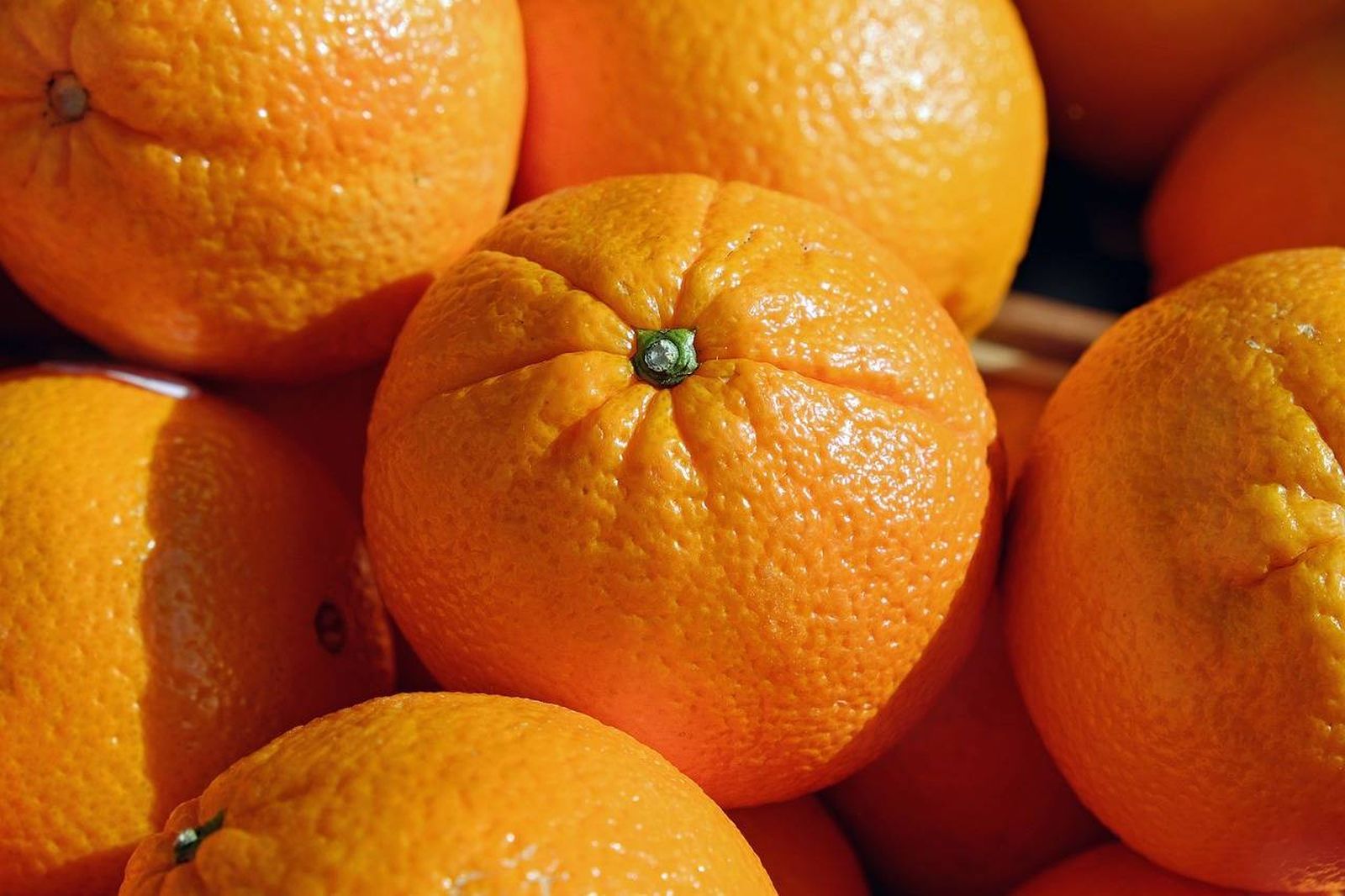 El aceite de naranja, potencial biocombustible para el transporte