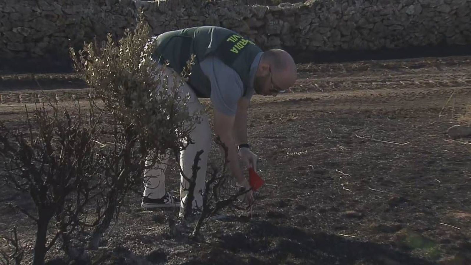 78 incendios forestales en Madrid en solo una semana: el Seprona los investiga como un asesinato