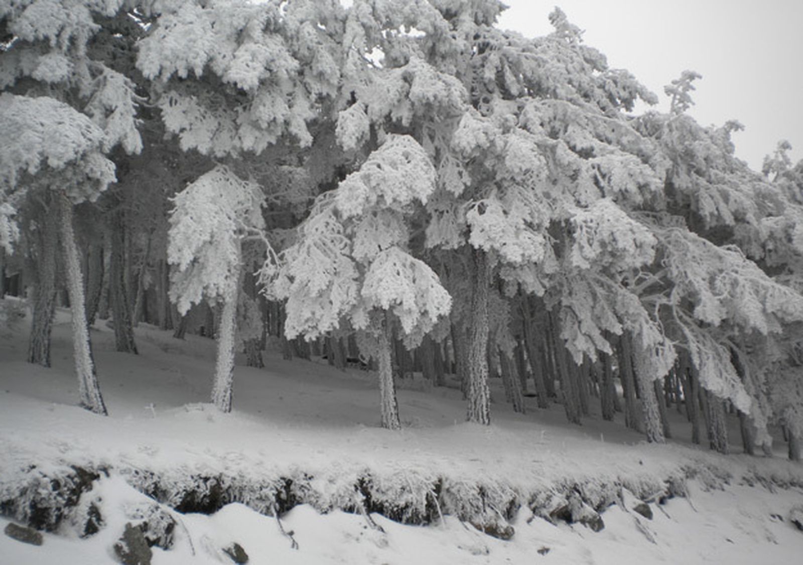 Somosierra (Madrid)