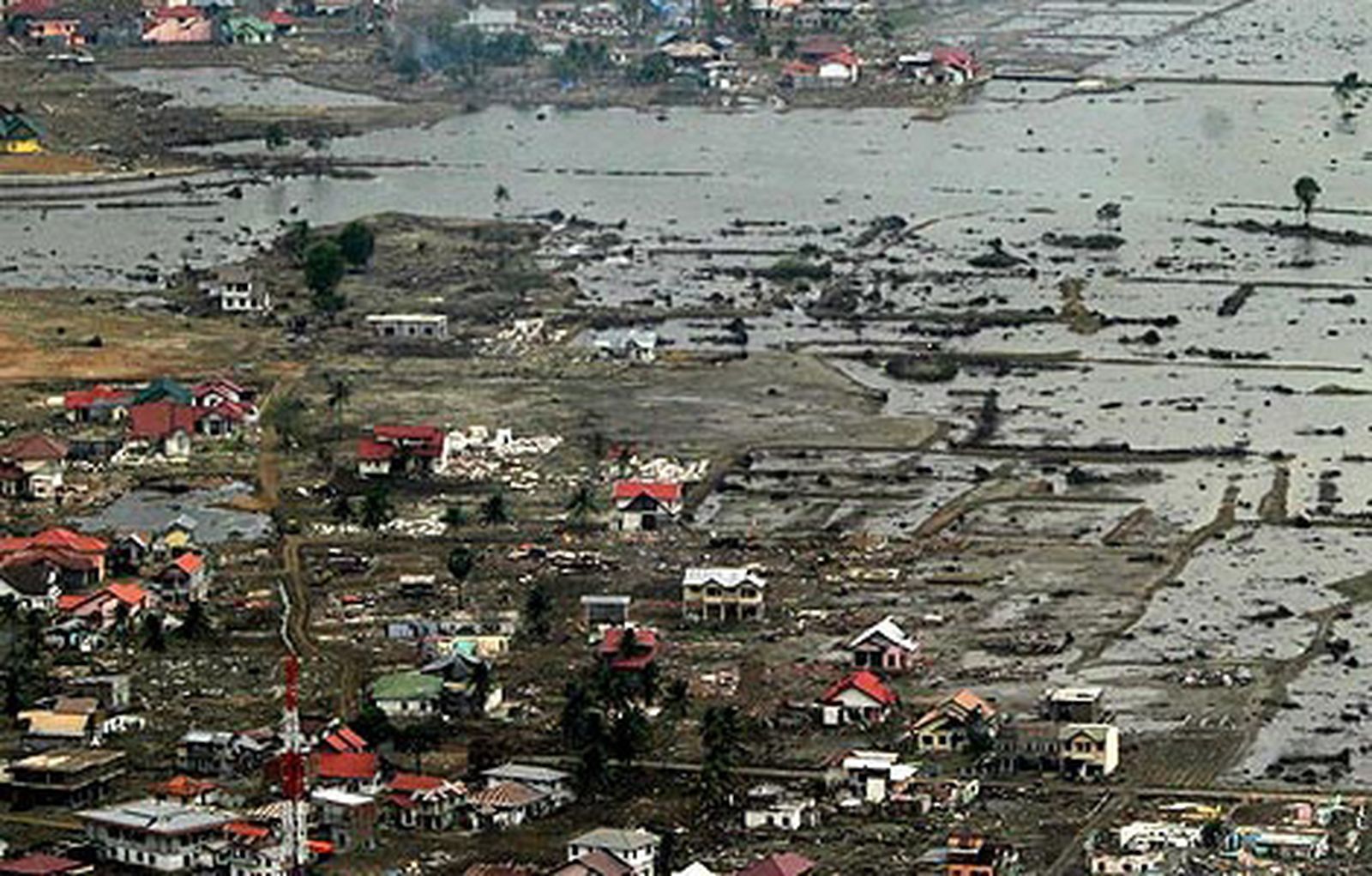 tsunami_encontrada