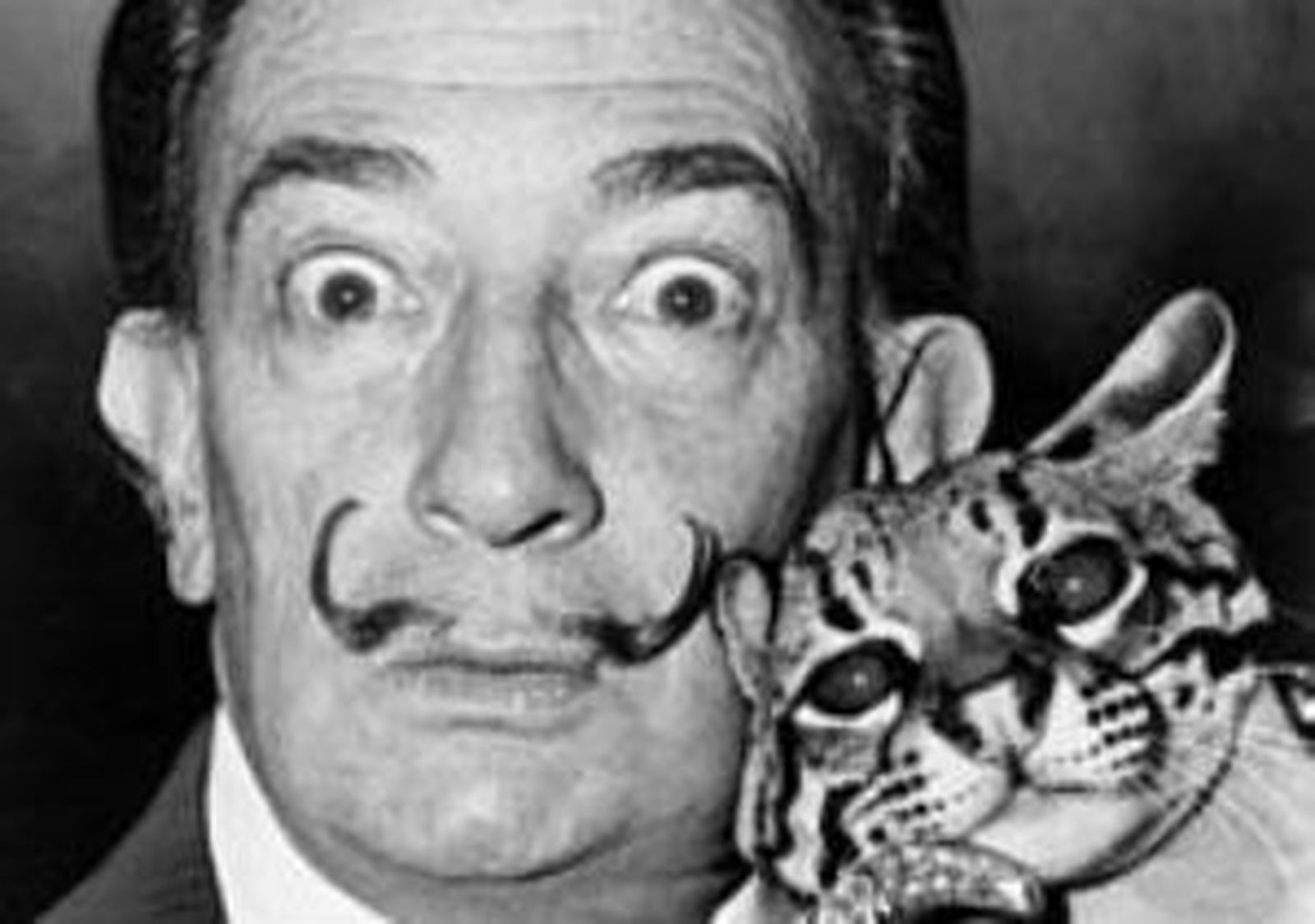 Dali1.jpg
