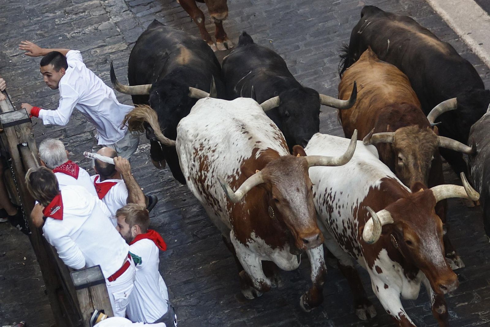 Una imagen del cuarto encierro de San Fermín