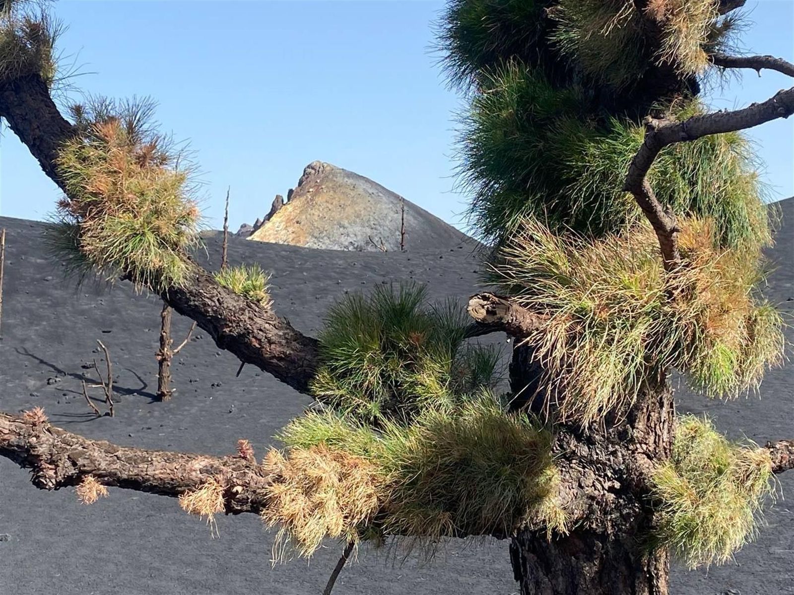 La Palma, un año después, con desplazados, 600 grados y gases letales
