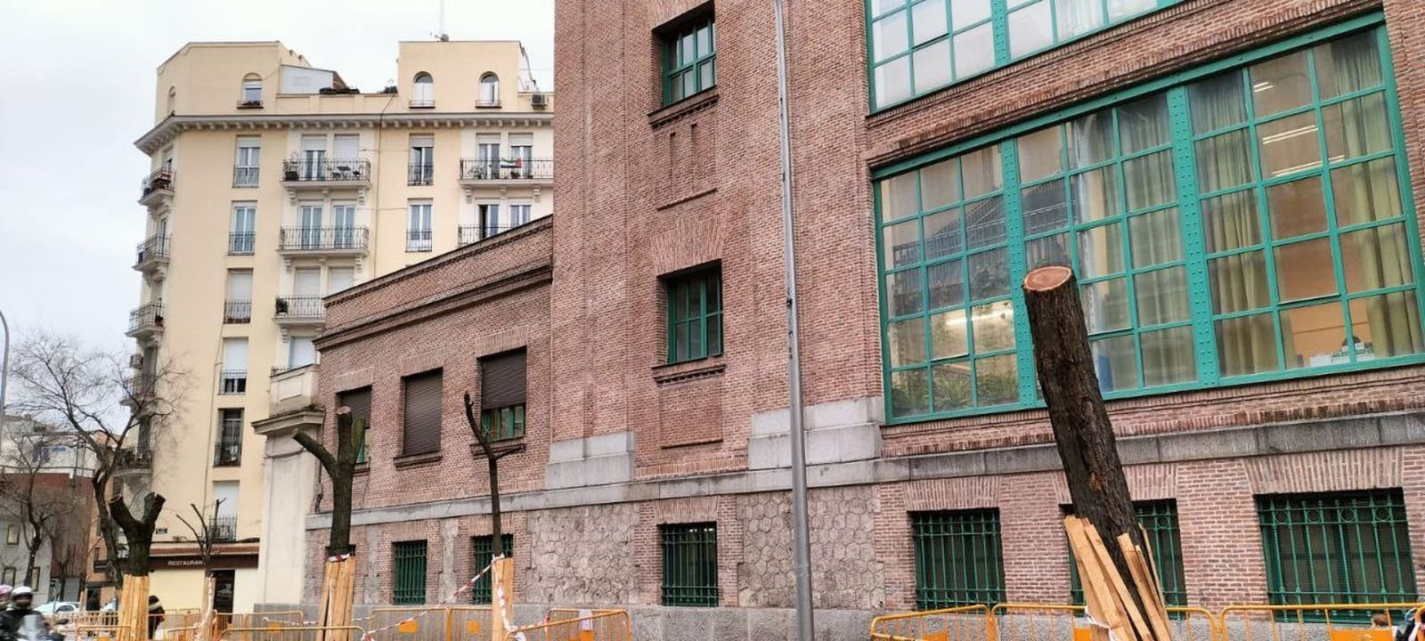 Arbolado afectado por las obras de la nueva estación pasante de Atocha
