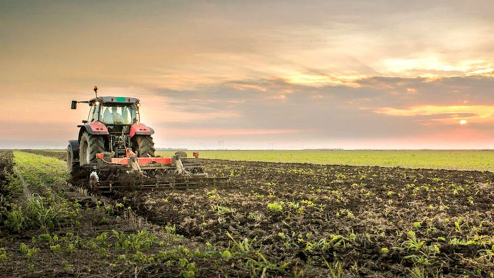Tractor