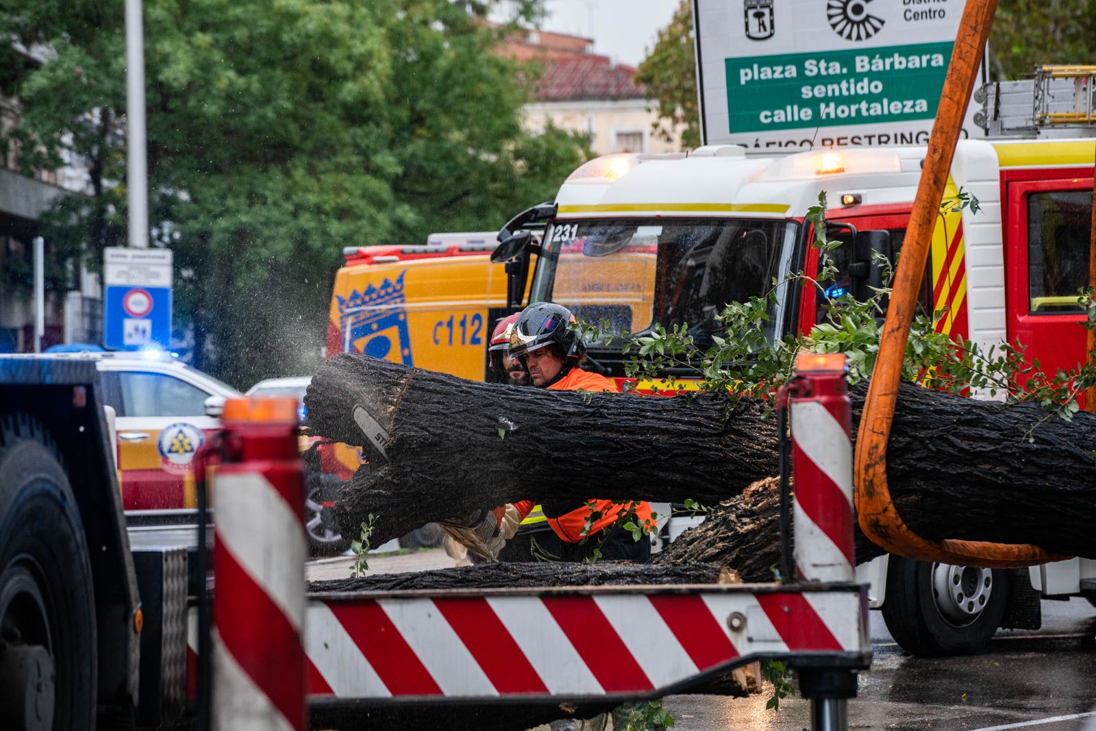 Bomberos desalojan el árbol caído en la calle Almagro