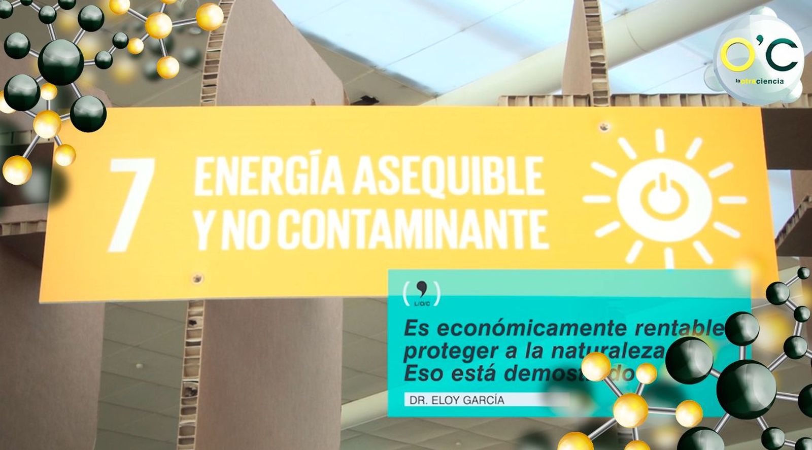 Económicamente es rentable proteger la naturaleza
