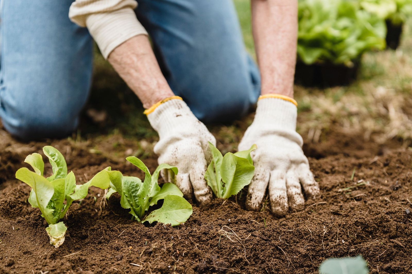 Los agricultores denuncian que "los costes de producción no están bajando" y "hay ayudas mal repartidas"