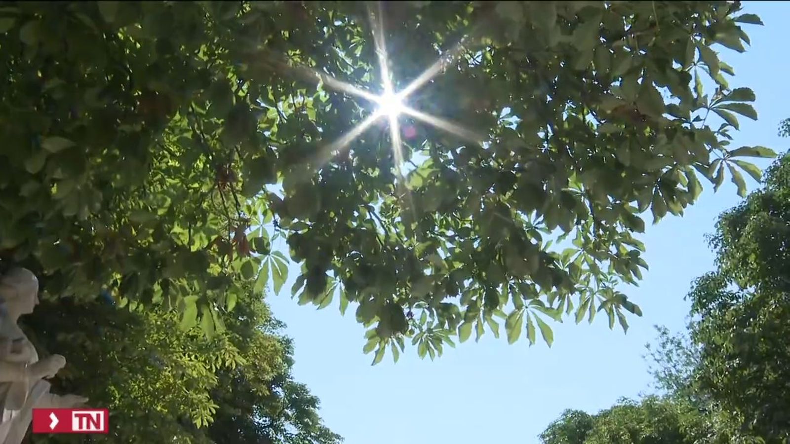Calor Madrid