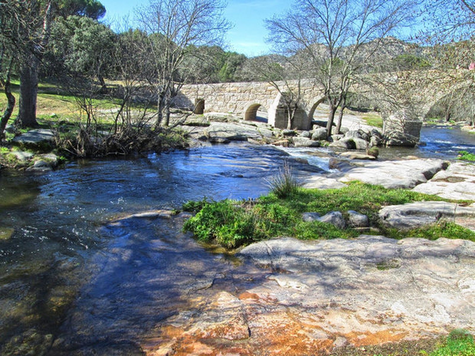 La trucha común autóctona ha desaparecido ya en la cuenca  del río Cofio, en Madrid