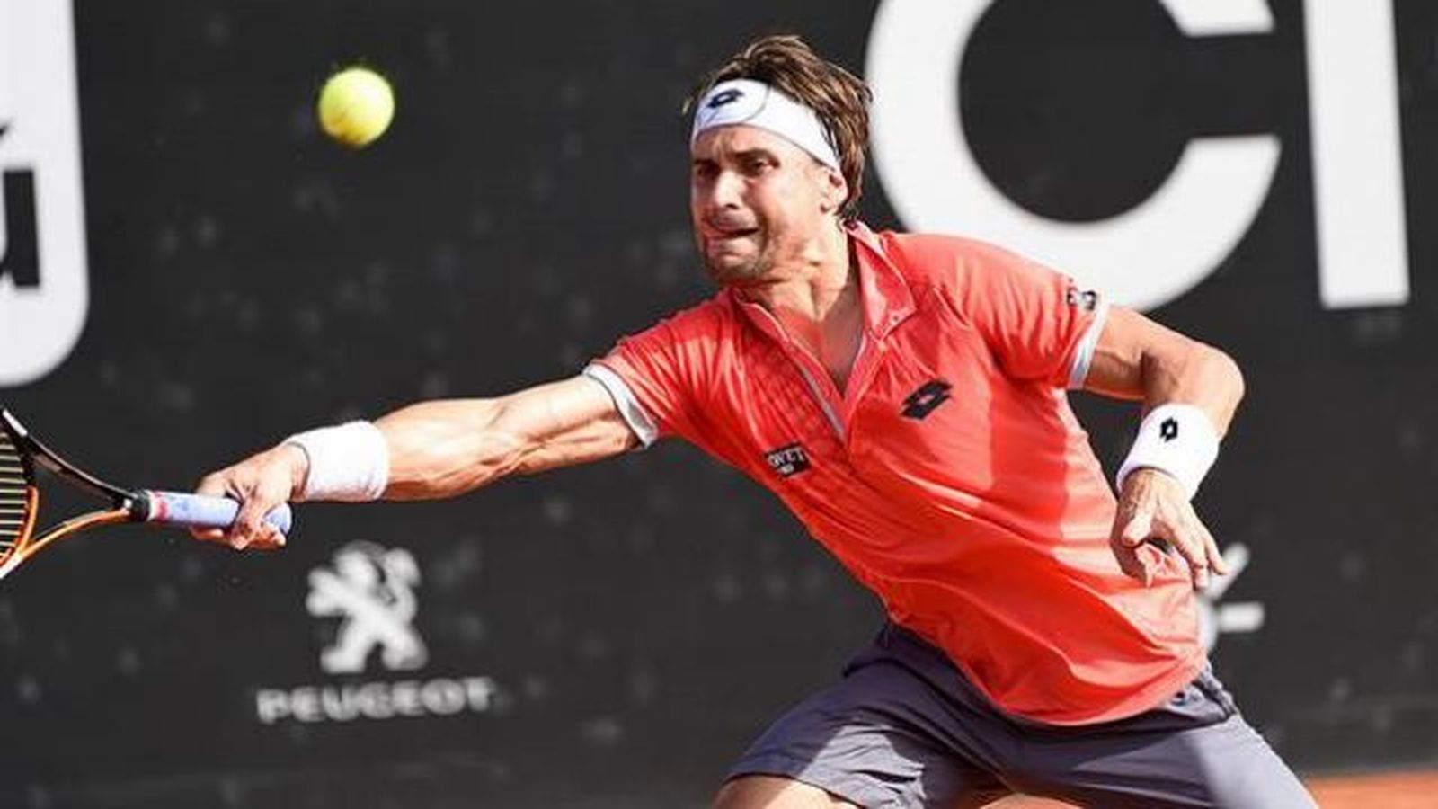 David Ferrer