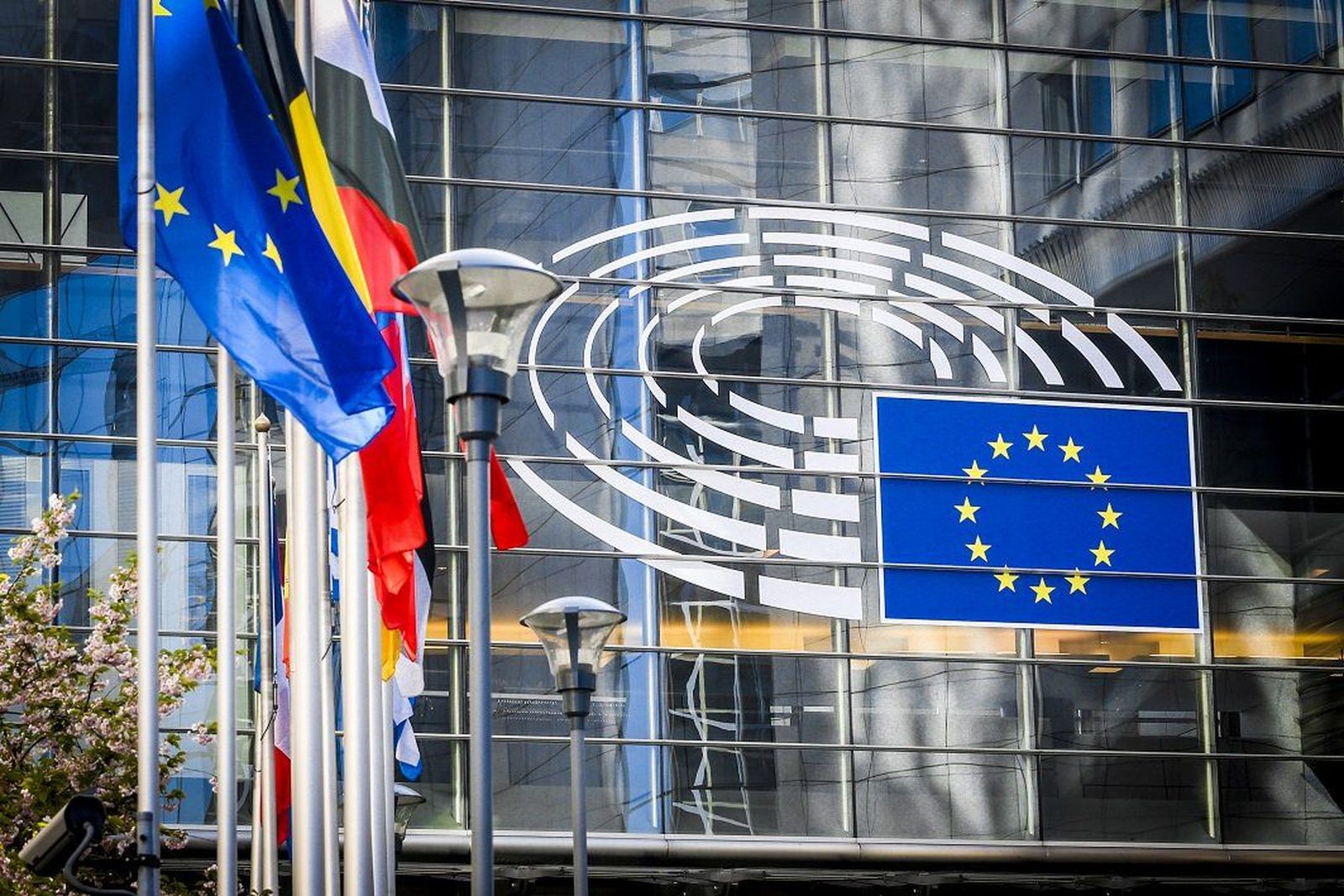 Oficina del Parlamento Europeo en España