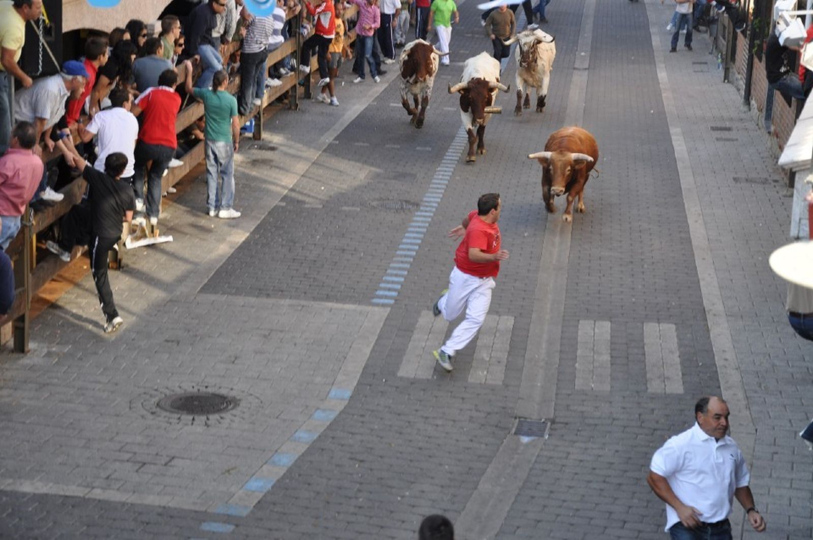 Encierros de Moralzarzal
