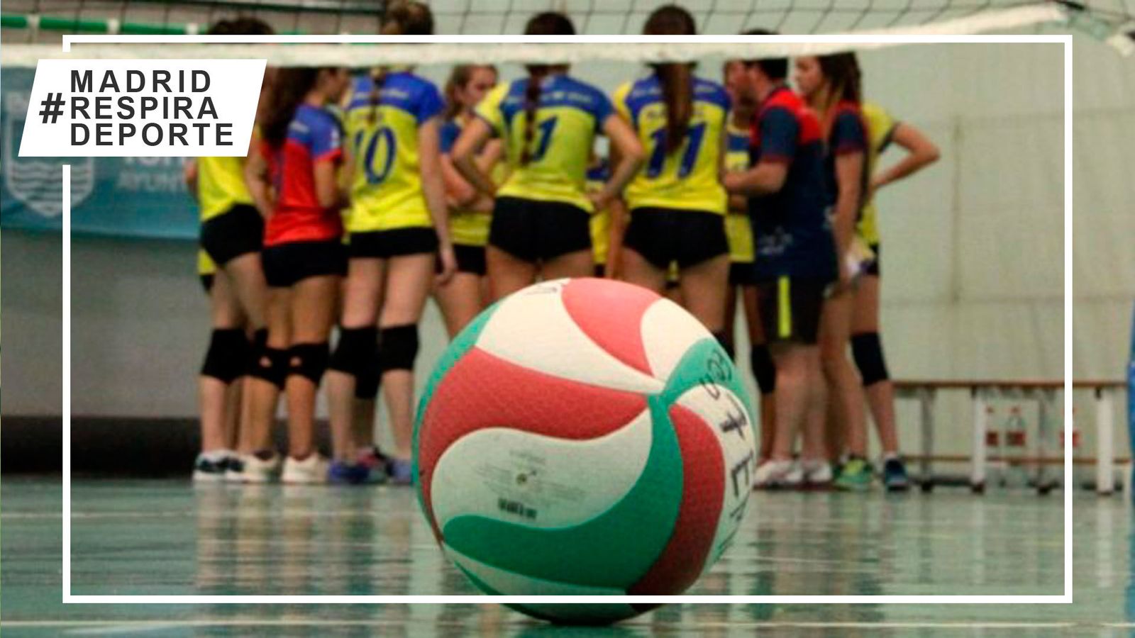 Voleibol