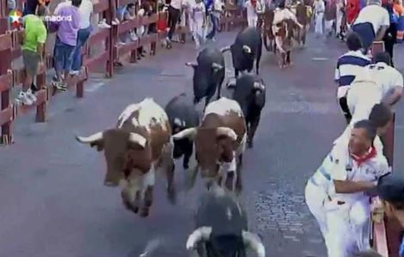 Cinco contusionados en el primer encierro de San Sebastián de los Reyes