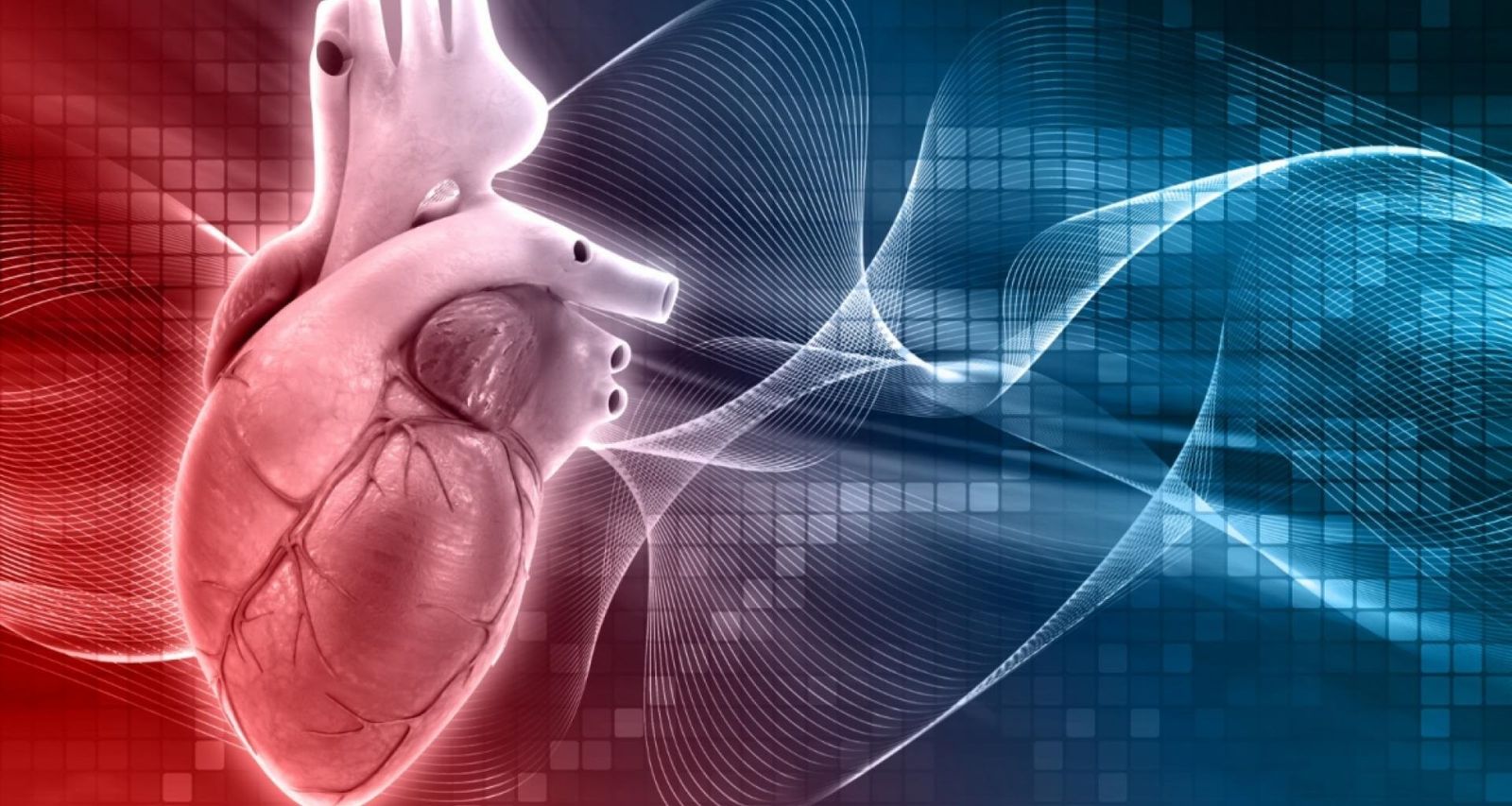 El Hospital de La Princesa incorpora una técnica hemodinámica para tratar un tipo de insuficiencia cardiaca