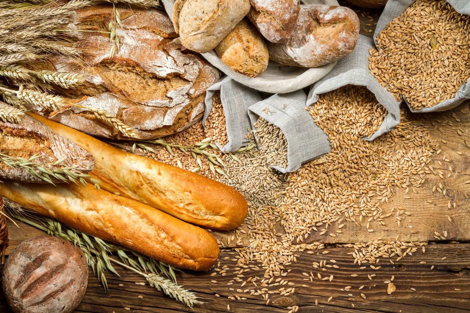La startup Bread Free revoluciona los productos para celiacos con su harina de trigo sin gluten