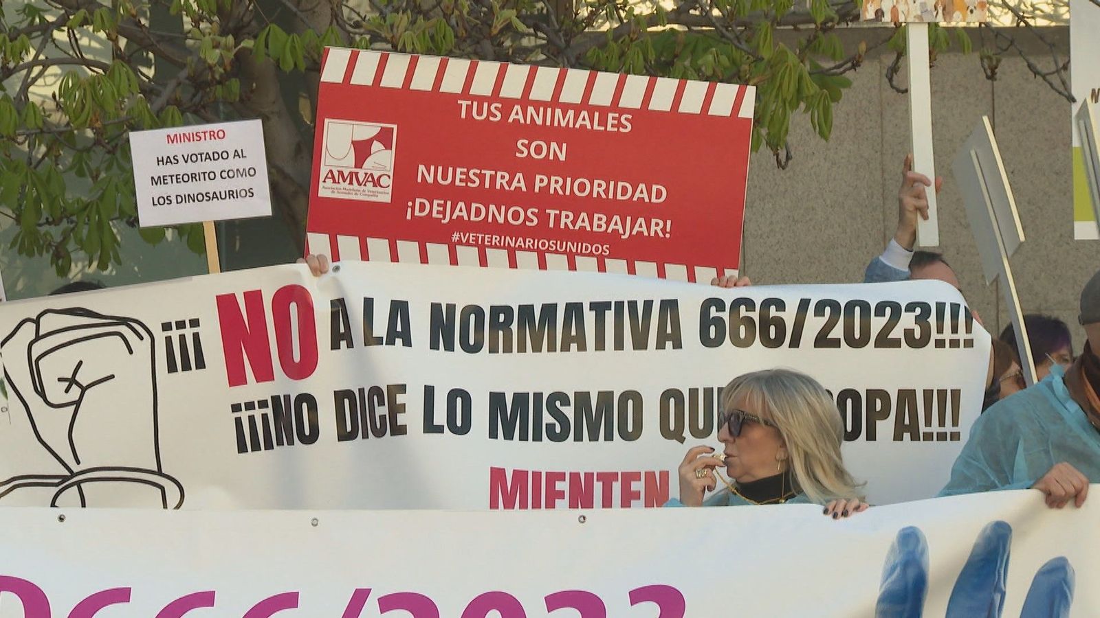 Veterinarios advierten de problemas en la salud de los animales por las limitaciones en los tratamientos