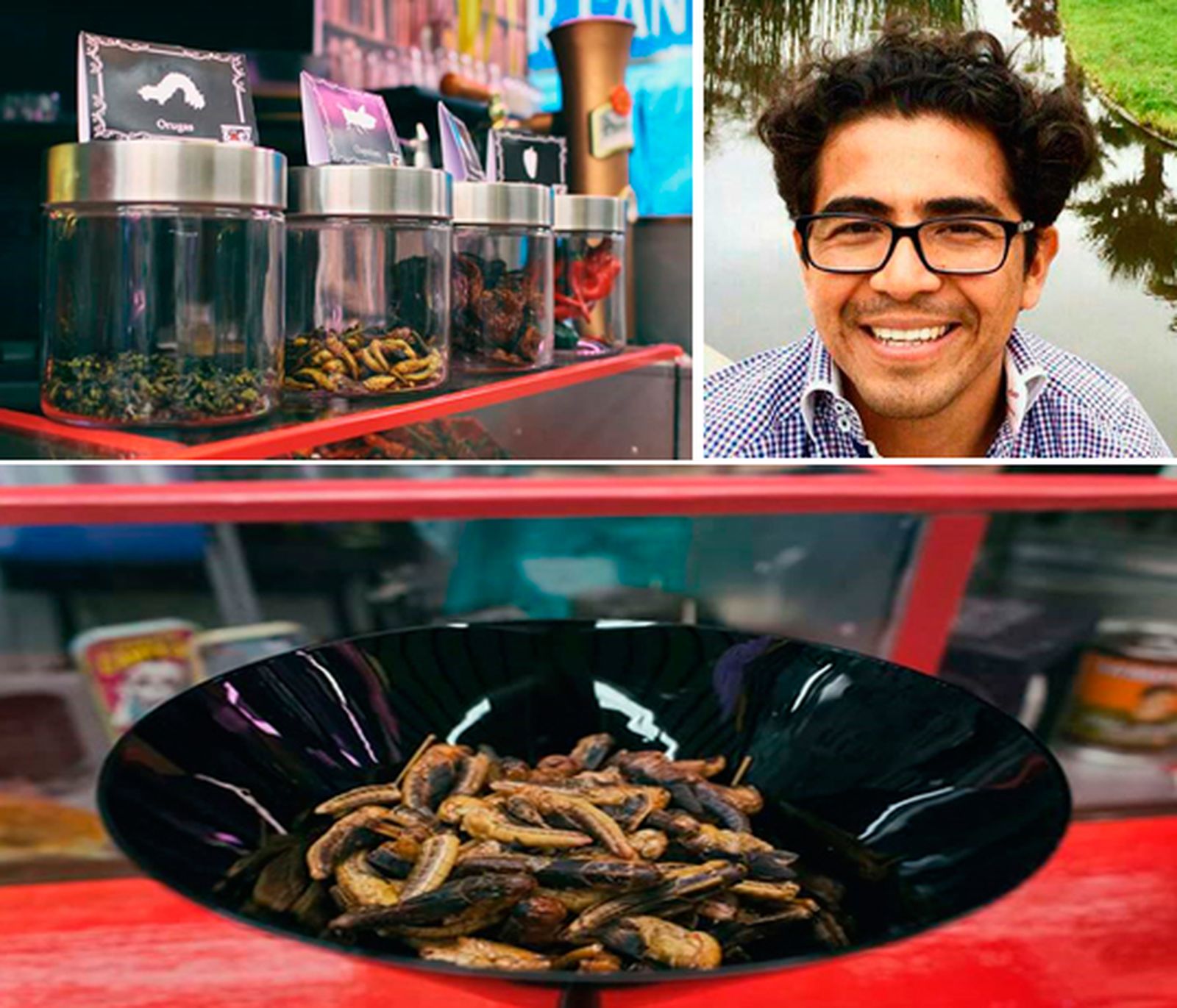 El comedor de bichos