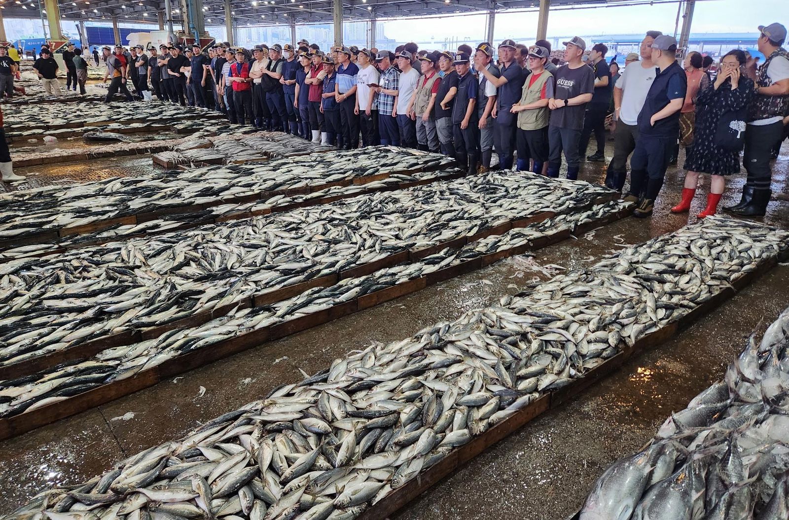 Lonja de Busán, Corea del Sur, en la segunda jornada de vertido del agua de Fukushima (Japón)