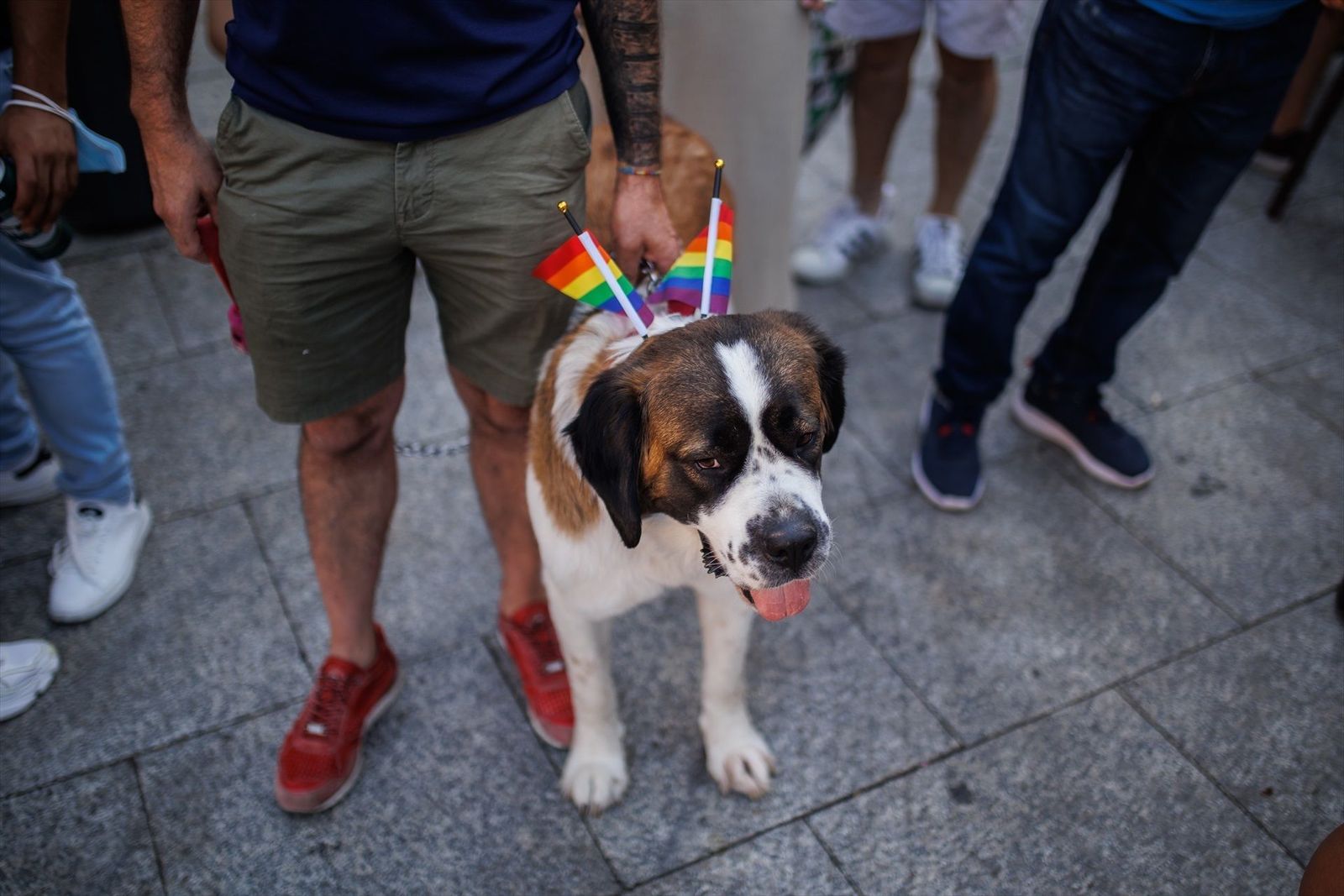 Amplio dispositivo de seguridad y sanitario de cara al Orgullo en Madrid