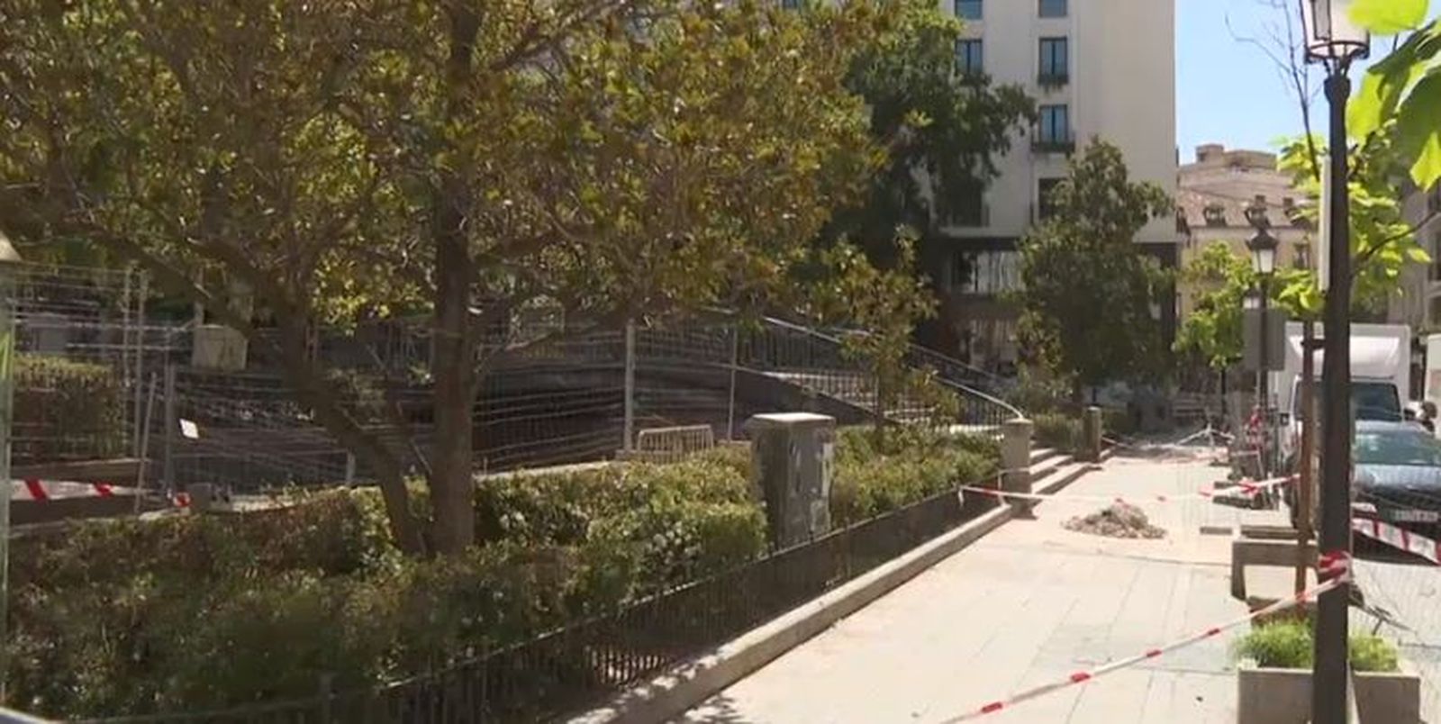 Árboles en la Plaza del Carmen antes del inicio de las obras de reforma