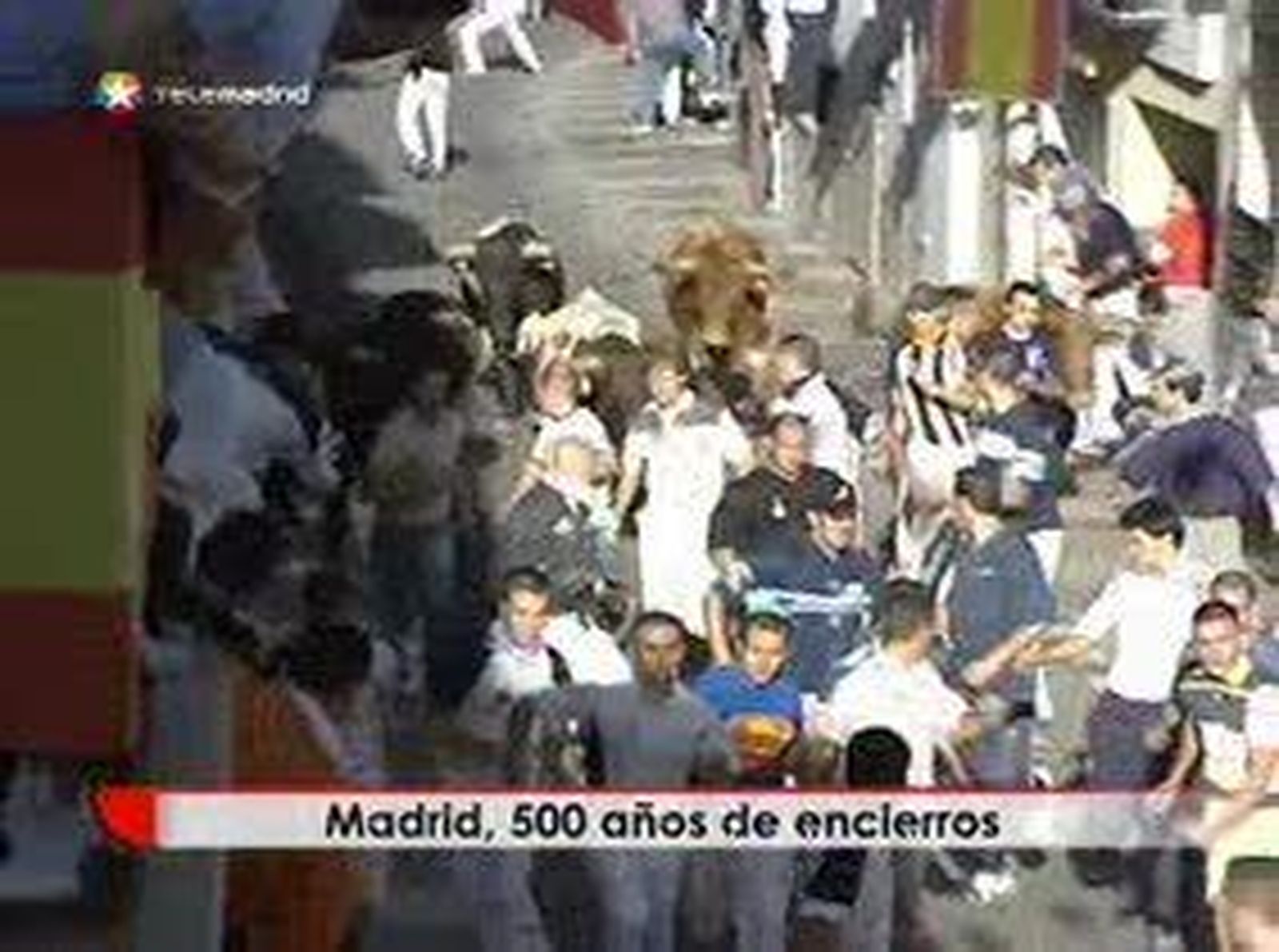 Empieza la temporada de toros en Madrid